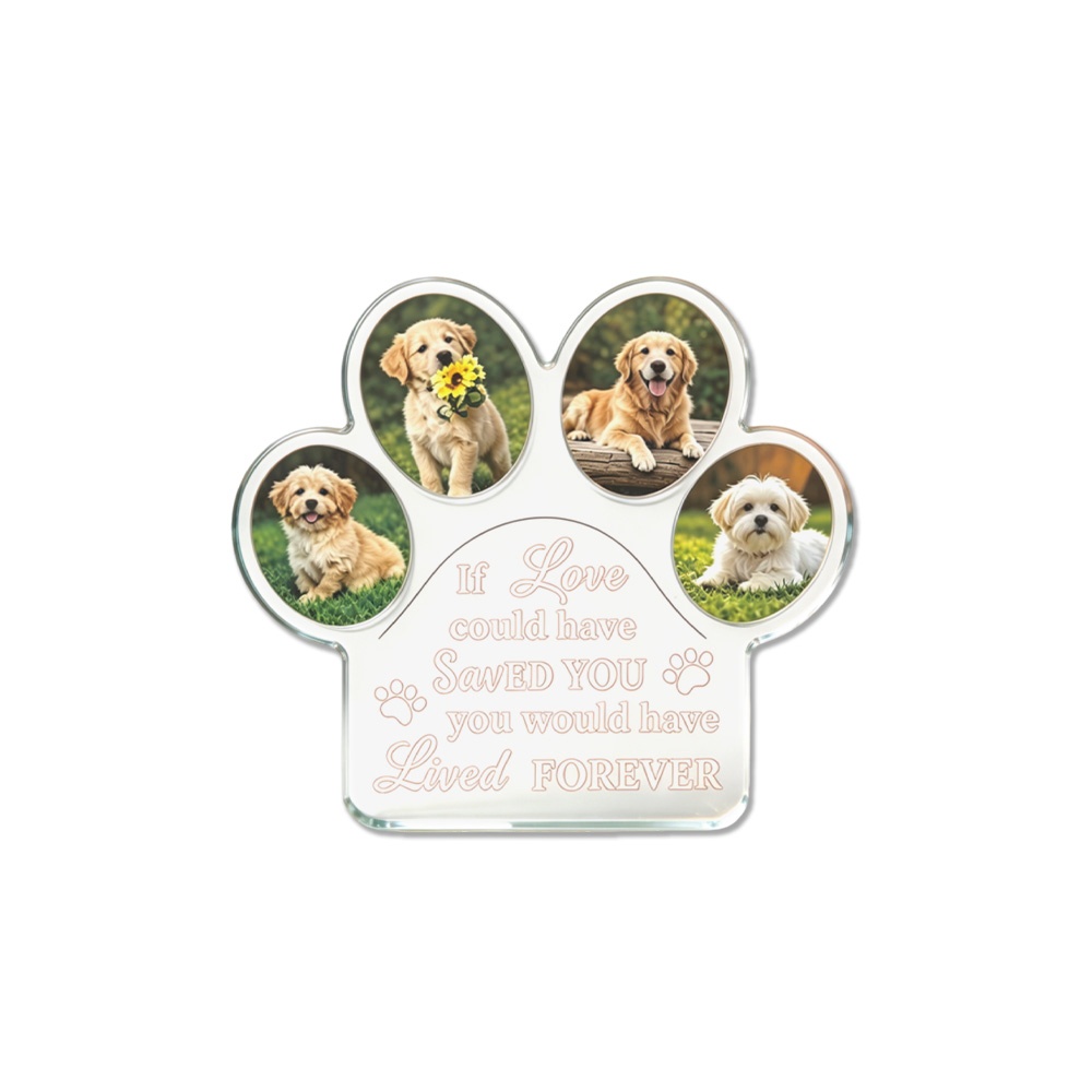 Photo Acrylic Block - 1 pièce Plaque de présentation en