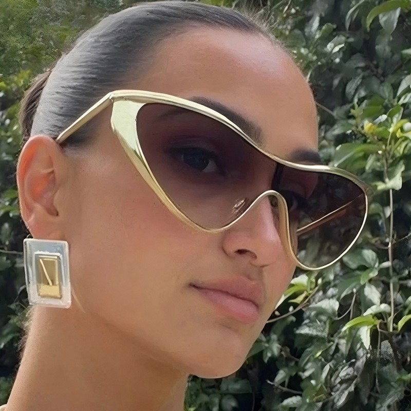 Lunettes de soleil sans montur - Metal Photo Panel avis et prix